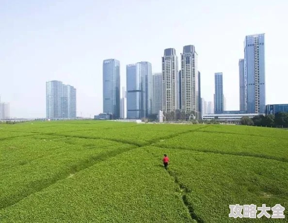 青草社区：亲密而陌生的人们在这里有属于自己的故事