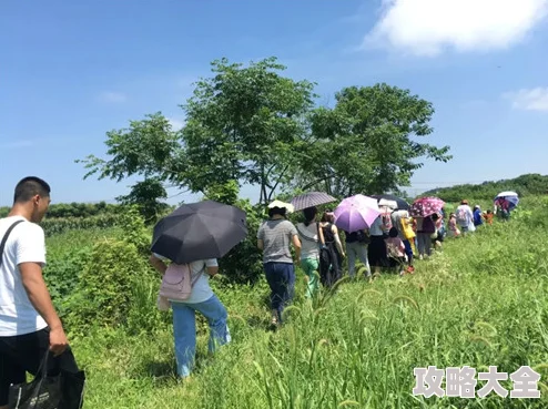 青草社区：亲密而陌生的人们在这里有属于自己的故事